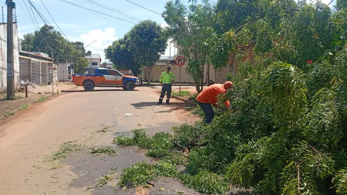 chuva-intensa-derruba-arvores-e-mobiliza-defesa-civil-na-regiao-norte-de-palmas
