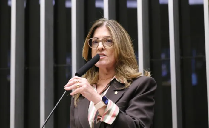 comissao-aprova-projeto-que-permite-programas-de-fidelidade-com-prazo-maior-para-gestante