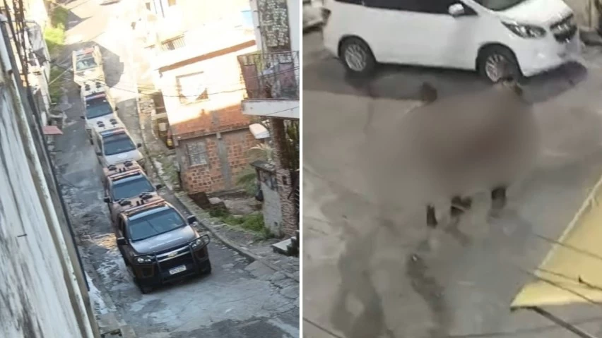 pm-baleado-em-operacao-no-engenho-velho-de-brotas-nao-resiste;-tres-bandidos-mortos