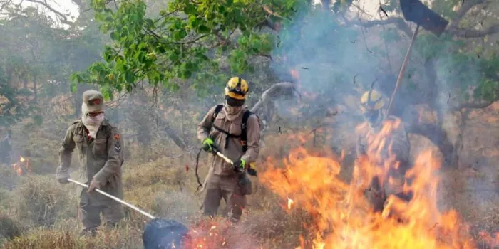 fapeg-lanca-chamada-publica-para-projetos-que-visam-prevenir-incendios-no-cerrado